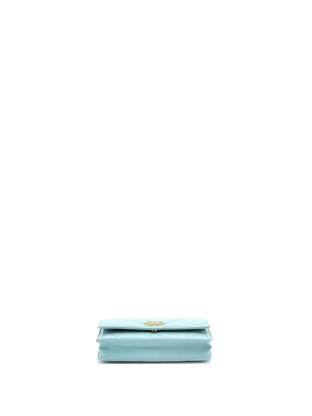 Chanel 19 Wallet On Chain Quilted #233879C42B